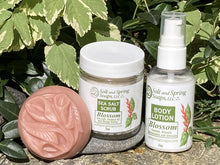 Load image into Gallery viewer, Blossom Sample Set - Small Size